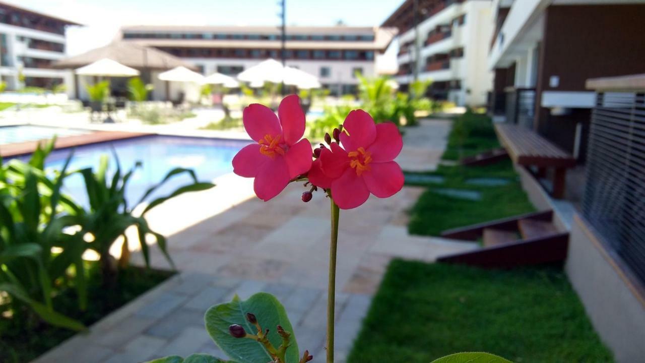 Cupe Beach Living - Frente Piscina Apartment Porto de Galinhas Exterior photo